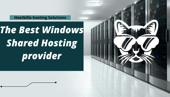th best windows shared hosting provider