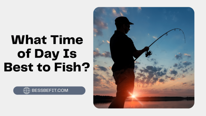 What Time of Day Is Best to Fish?