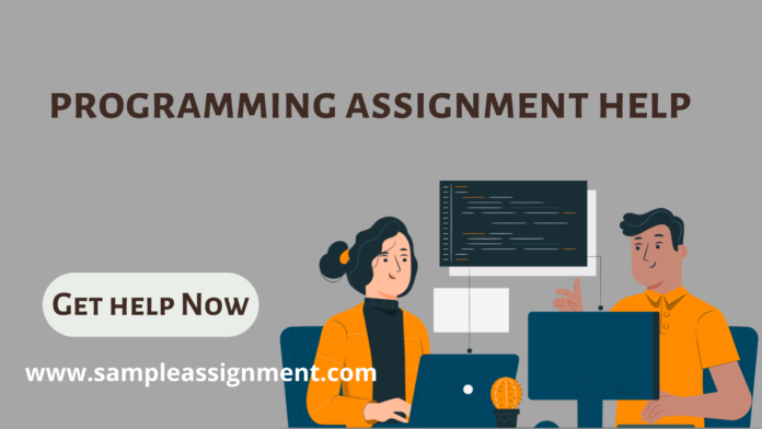 programming assignments help