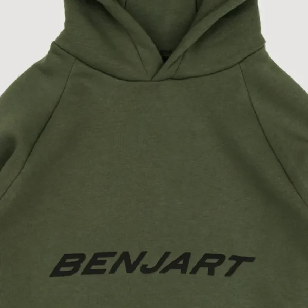 Introduction to Benjart Shop