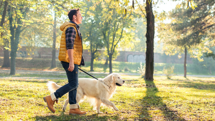 Exploring Dog Walking in London: A Guide to Happy Tails